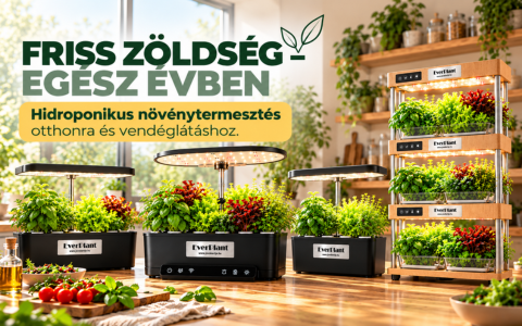 https://coffeetogo.hu/Hidroponikus-novenytermesztes