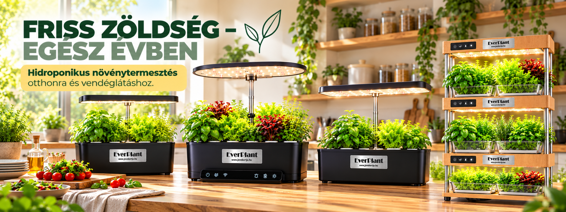 CoffeeToGo papírpohár és elviteles éttermi csomagolóanyagok